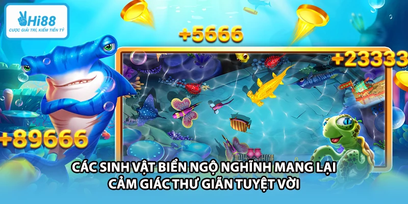 Các sinh vật biển ngộ nghĩnh mang lại cảm giác thư giãn tuyệt vời