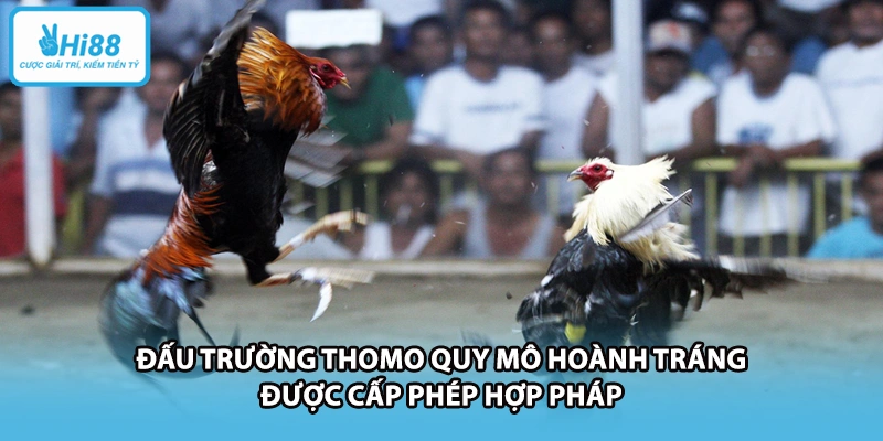 Đấu trường Thomo quy mô hoành tráng được cấp phép hợp pháp